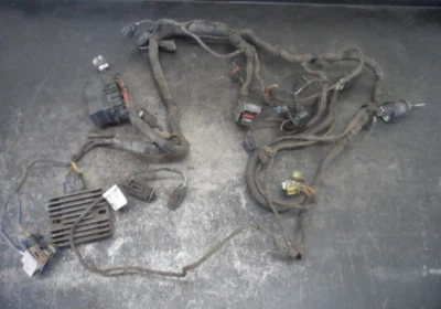 Arnés de cableado Arctic Cat 450 2010-2011 0486-326 usado OEM BB-11 Foto 1 de 4