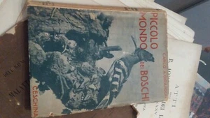 Carlo A. Girardon Piccolo mondo dei boschi Ceschina 1935 - Bild 1 von 7