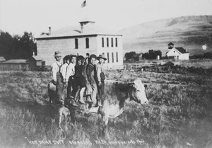 Vintage Photo Reproduction A cow carries seven children “to school” 1907 - Imagen 1 de 1