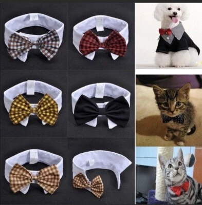 Collar de pajarita pequeño para perro/gato * Color amarillo* Nuevo Foto 1 de 4