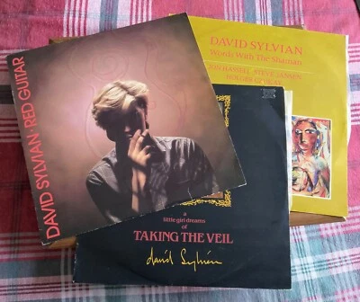 David Sylvian 12" Vinyl Bundle Red Guitar/Words With The Shaman/Taking The Veil - Image 1 of 4