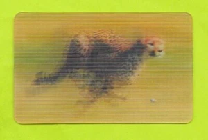 Carte Cora / Match - N°33/44 - Guépard - Picture 1 of 2