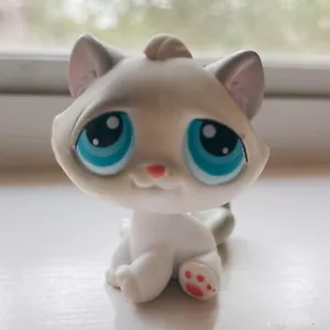 Grey and White Kitten #53 - Littlest Pet Shop - Picture 1 of 1
