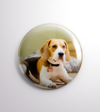 Cute Beagle 25 mm Pin Badge Button Dog Breed Artwork Picture Lovely Doggy NEW