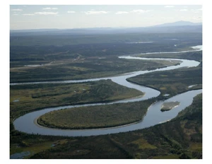 Río Alatna - Alaska 8x10 foto en 8,5" x 11" - Imagen 1 de 1