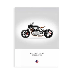 Stampa su Tela su Carta Poster o Quadro Rogan Mark Confederate X132 Hellcat Spee - Picture 1 of 2