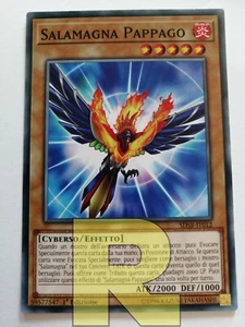 3x Salamagna Pappago ® Comune ® SDSB-IT012 ® Italiano ® Errecards - Picture 1 of 1