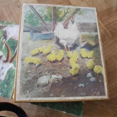ancienne boite de jeu de 20 cubes ANIMAUX ours cheval poule cochon chevre mouton - Photo 1/4