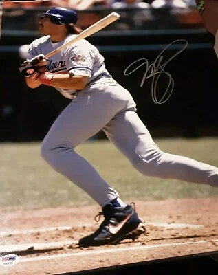 Mike Piazza Autographed 16x20 Photo  PSA DNA  - Image 1 of 4