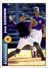 1996 Charleston Riverdogs Team Issue #9614 Joey Goodwin New Windsor Maryland MD