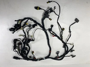 Arnés de cableado Ducati Diavel 2012 OEM motor principal telar eléctrico 51017341C - Imagen 1 de 7