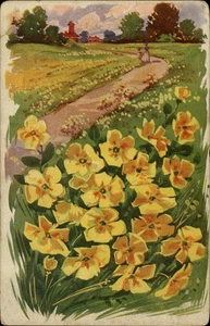 Postal floral vintage con camino - Durant, OK - 1911 - Imagen 1 de 2