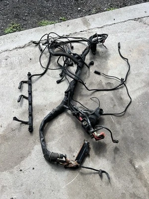 Arnés de cableado del motor BMW Z3 M Roadster 1998-2000 cupé S52 OEM 1406497B Foto 1 de 4