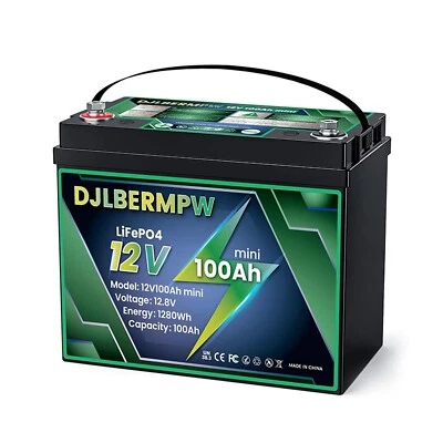 DJLBERMPW Mini 12V 100AH Smaller Size LiFePO4 Lithium Battery 100A BMS for RV Marine Solar