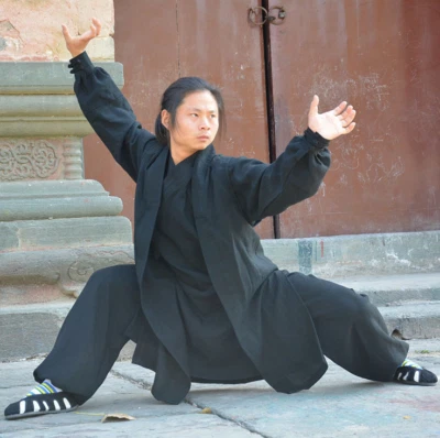 Traje de bata taoísta Wudang de alta calidad Kung Fu Tai Chi ropa de artes marciales Foto 1 de 4