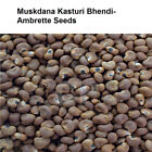 Ambrette Seed Abelmoschus Moschatus Latakasturi Bhendi Seeds 100gm (3.5 OZ)"