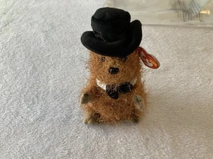 ty beanie babys punxsutawney phil 2005. SKU 2363 - Bild 1 von 2