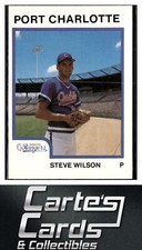 Steve Wilson 1987 ProCards #2043  Port Charlotte Rangers