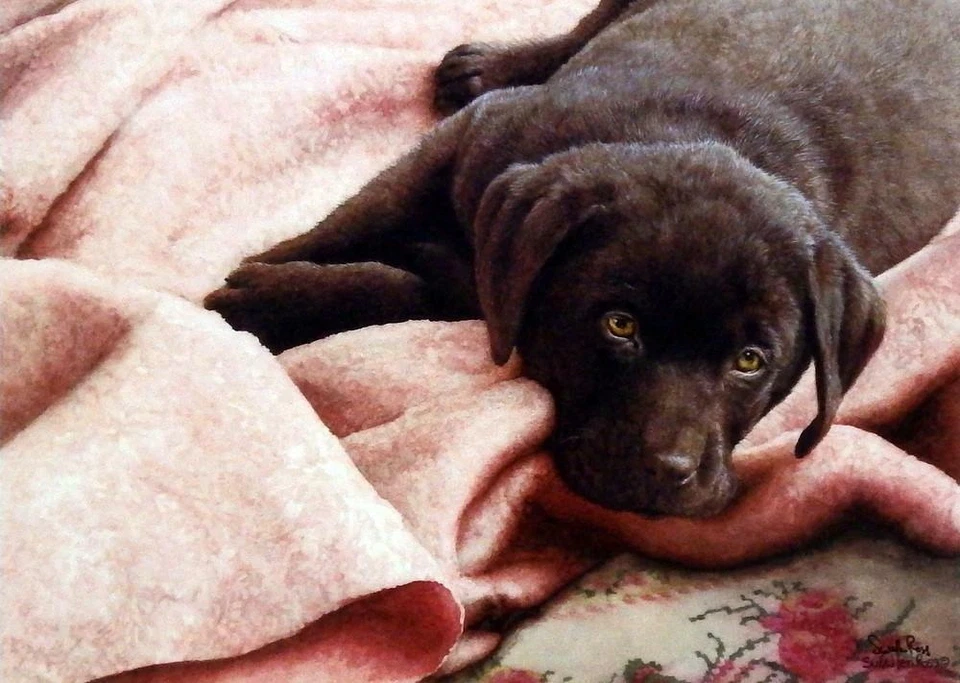 Sueellen Ross Between Acts Puppy Print Signed 13" x 9.5" - Image 1 of 1