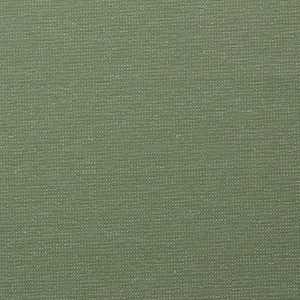 OUTDURA DELANEY SERPENTINE GREEN OUTDOOR INDOOR MULTIUSE FABRIC BY YARD 54"W - Picture 1 of 4