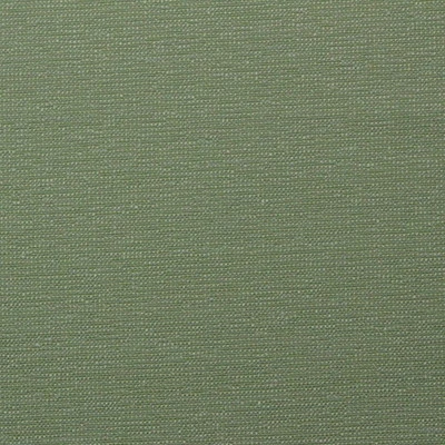OUTDURA DELANEY SERPENTINE GREEN OUTDOOR INDOOR MULTIUSE FABRIC BY YARD 54"W - Image 1 of 4