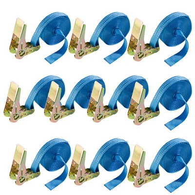 AREBOS 10x Cinghia a Cricchetto Cinghia Fermacarico 6 m Portata 800 kg