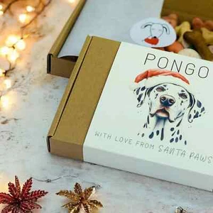 Dalmatian Christmas Gift - ANY DOG BREED - Dog Christmas Treat Box - Puppy Gift - Picture 1 of 11