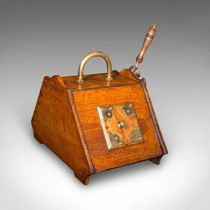 Antique Coal Purdonium, Scottish, Oak, Fireside Store, Gothic Revival, Victorian - Picture 1 of 12