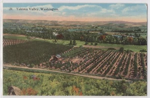 Yakima Valley Washington WA Hilltop Scenic View Orchard Farm 1900s Postcard - Picture 1 of 2