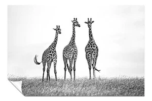 Black & White Giraffes Wildlife Artistic Poster Wall Art Home Decor - Picture 1 of 4