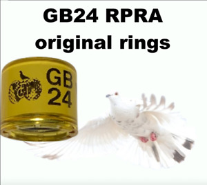 RPRA racing pigeons rings GB 2024 - breeding UK ,original GB24  + transfer form