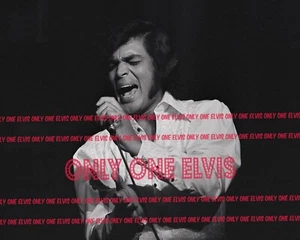 1971 Singer ENGELBERT HUMPERDINCK - Opening Night - ARIE CROWN THEATER Photo 002 - Picture 1 of 1