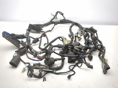 01-05 Honda Goldwing 1800 GL 1800 Main Wiring Wire Harness Loom - Image 1 of 4