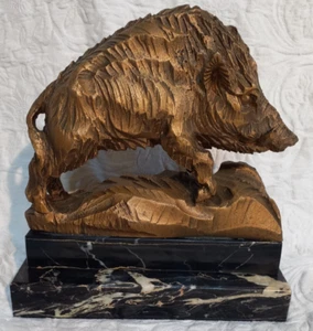 TROFEO DI CACCIA AL CINGHIALE Base Marmo nero marquinia / Cignale Toscana Italia - Foto 1 di 7