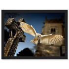 Photo Barn Owl in Flight Bird Alba Graveyard Scotland Framed A4 Wall Art Print