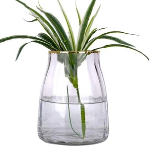 7 Inch Clear Simple Grey Glass Flower Vase Decorative Gilded Rim Vase Home Decor - Picture 1 of 7