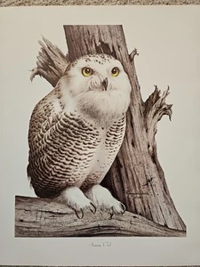 Snowy Owl limited edition Signed Watercolor Print Reagan Word 22″ x 18″ - Picture 1 of 8