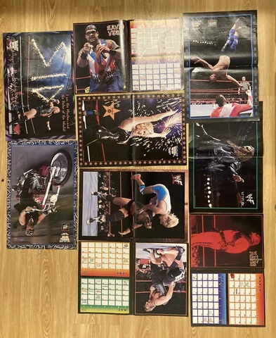WWF Magazine Lot of Wrestling Posters & Calendar Inserts Sable Pyscho Sid KANE Cover