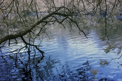 Cuerpo de cámara Canon 550D modificado. Convertido Espectro Completo-Astro-IR. ¡FILTRO GRATIS! Foto 1 de 4