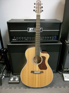 Las mejores ofertas en Guitarras eléctricas acústicas Walden | eBay