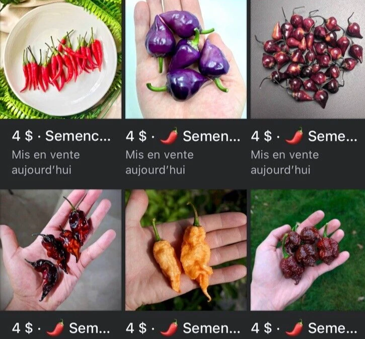 20% OFF VALUE BUNDLE, 12 organic hot pepper varieties, hot pepper seeds - Image 1 of 4