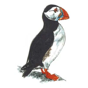 Puffin Bird Overglaze Waterslide Ceramic Decals - Picture 1 of 5