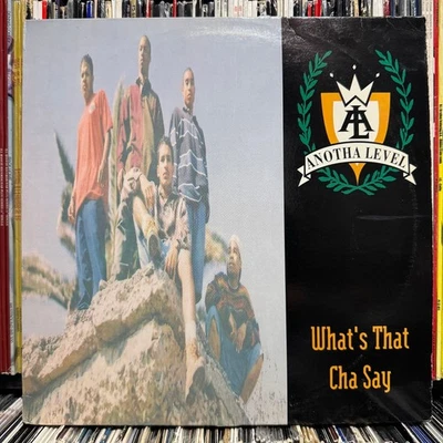 ANOTHA LEVEL - WHAT'S THAT CHA SAY / PHATT-T (12")  1994!!  RARE!!!  DA PHARCYDE - Image 1 of 4