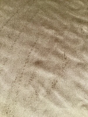 Zimmer & Rhodes Velour, 100% Vicose , W145cm £10 Per Metre - Image 1 of 2