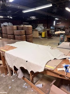 Ivory Leather Hide Upholstery Three Quarters Hide 35 Square Feet - Picture 1 of 2