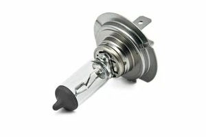 Bombilla halógena DBG H7 PX26d 499A 24V 70W (cada una) - Imagen 1 de 1