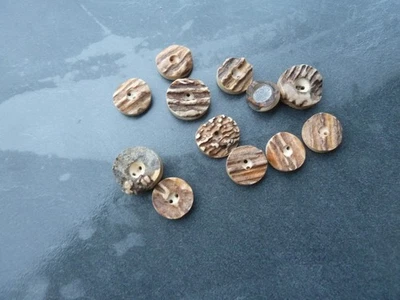 12 echte Hirschhorn Knöpfe 11 x 2-loch und 1 x Metallöse - 19 - 27 mm - Bild 1 von 3