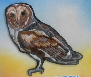 Little Critterz bestickt Bügelbild Tier Patch Schleiereule LCPA251356 - Bild 1 von 3