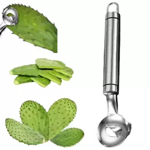Pelador Cucchiaio Cactus Pelador Cuchara En Forma Cuchara Utensile Cucina - Foto 1 di 7