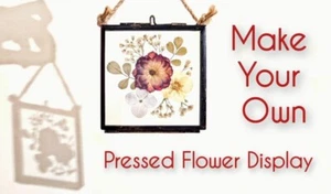Make Your Own Pressed Flower Display - Kit - Picture 1 of 5